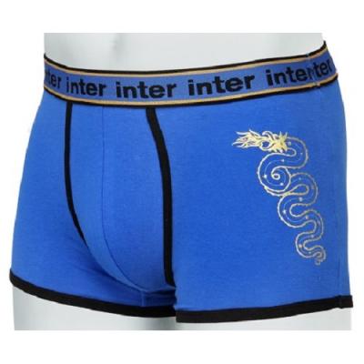 BOXER INTER