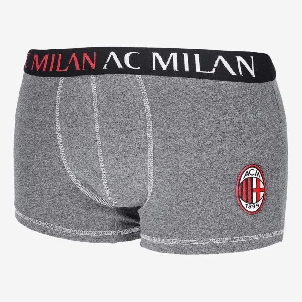 Milan Boxer Adulto