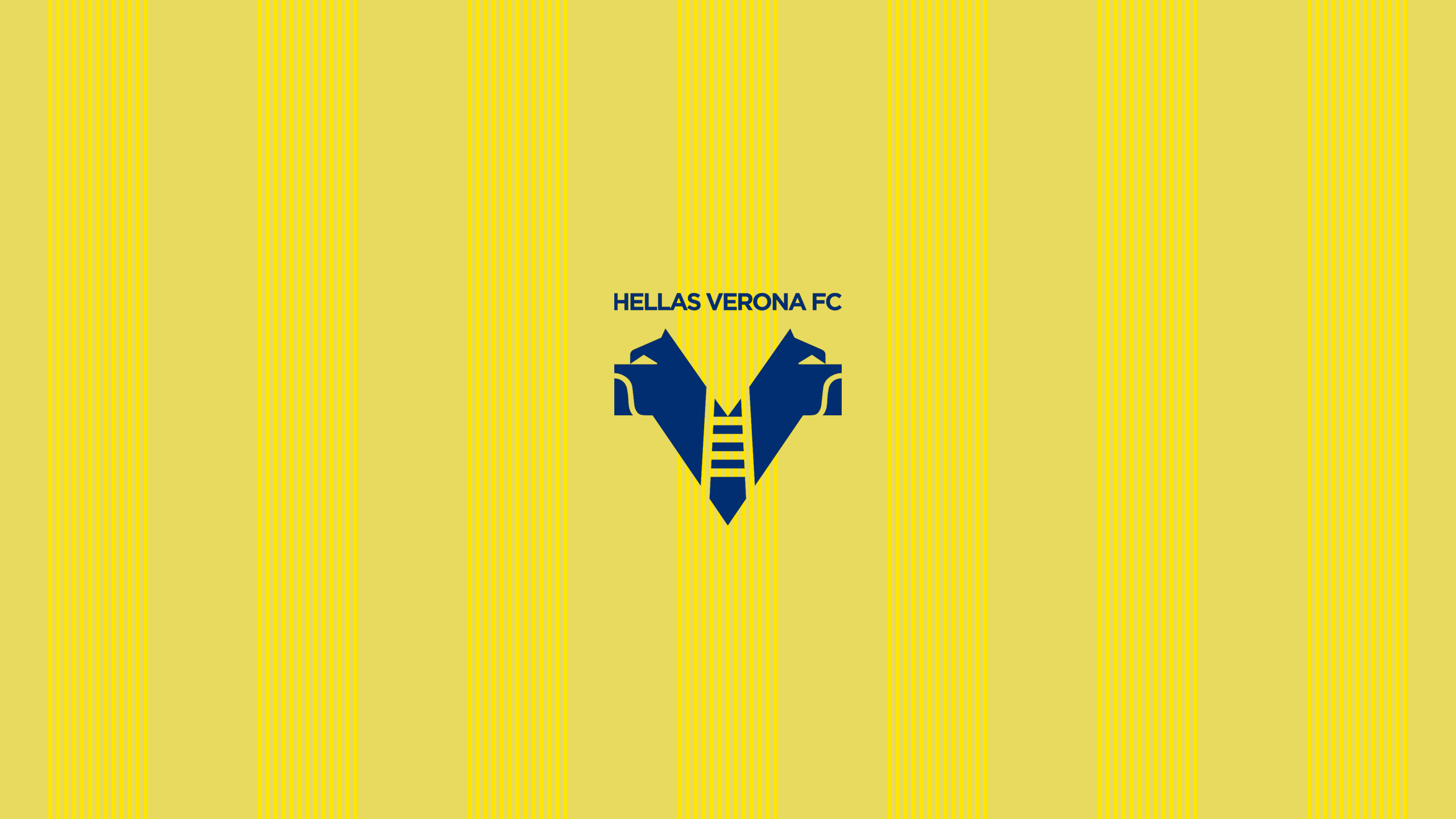 Slide Image Hellas Verona