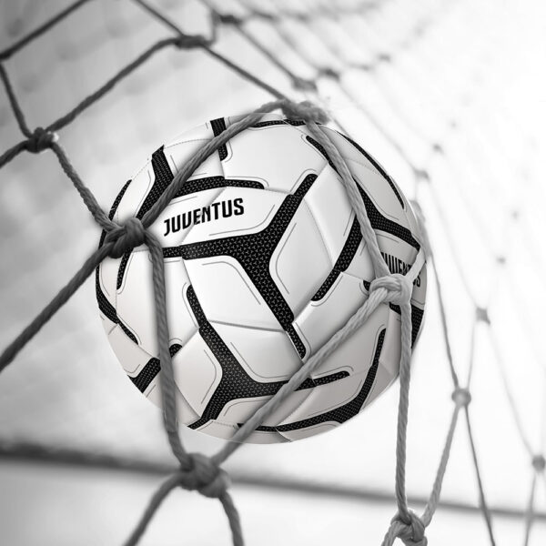 Juventus Pallone - immagine 2