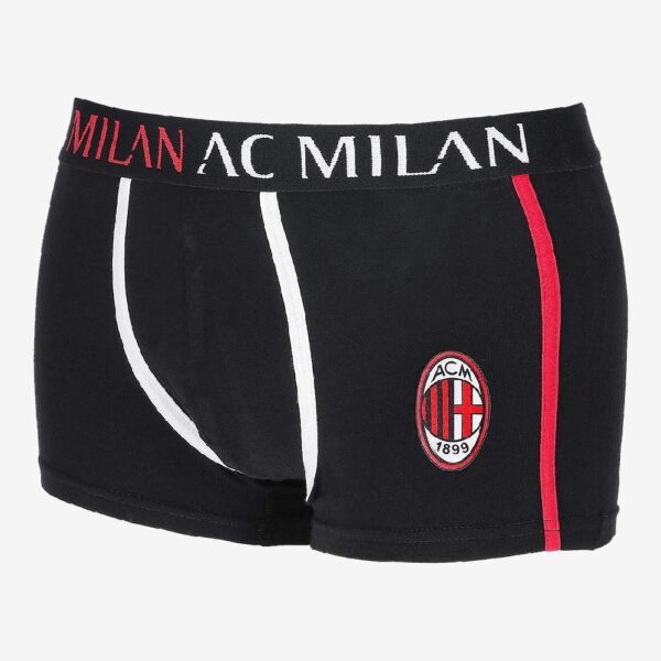 Milan Boxer Adulto