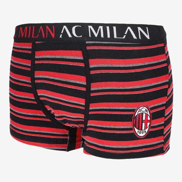 Milan Boxer Adulto